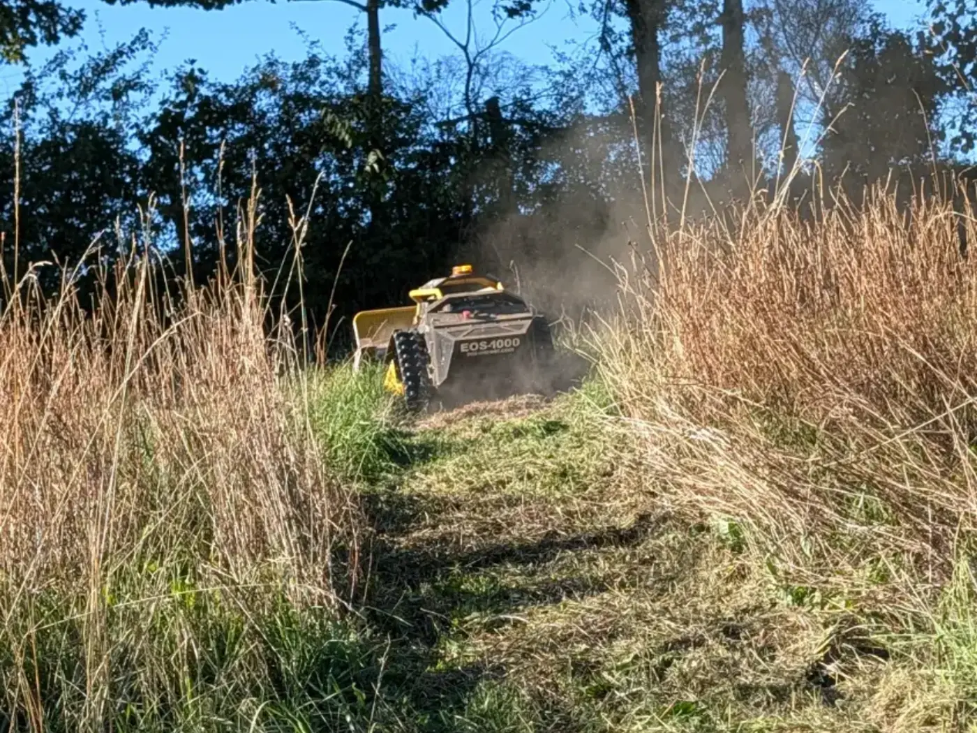 Broyeur de pente télécommandé EOS 1000 débroussaillant un talus en herbe sèche